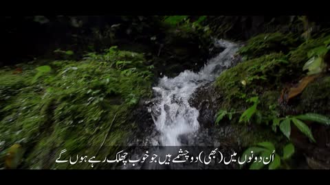 Surah Rahman with Urdu translation with explanation and Amazing Recitation Video