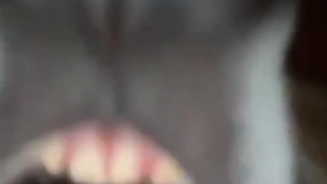 I said whatever