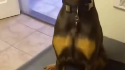 How times have changed