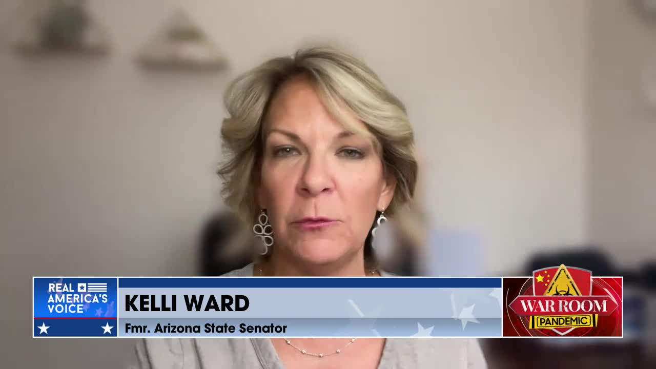 Kelli Ward Explains How To Ensure Your Vote Counts In The Liberals' Election Disorganization