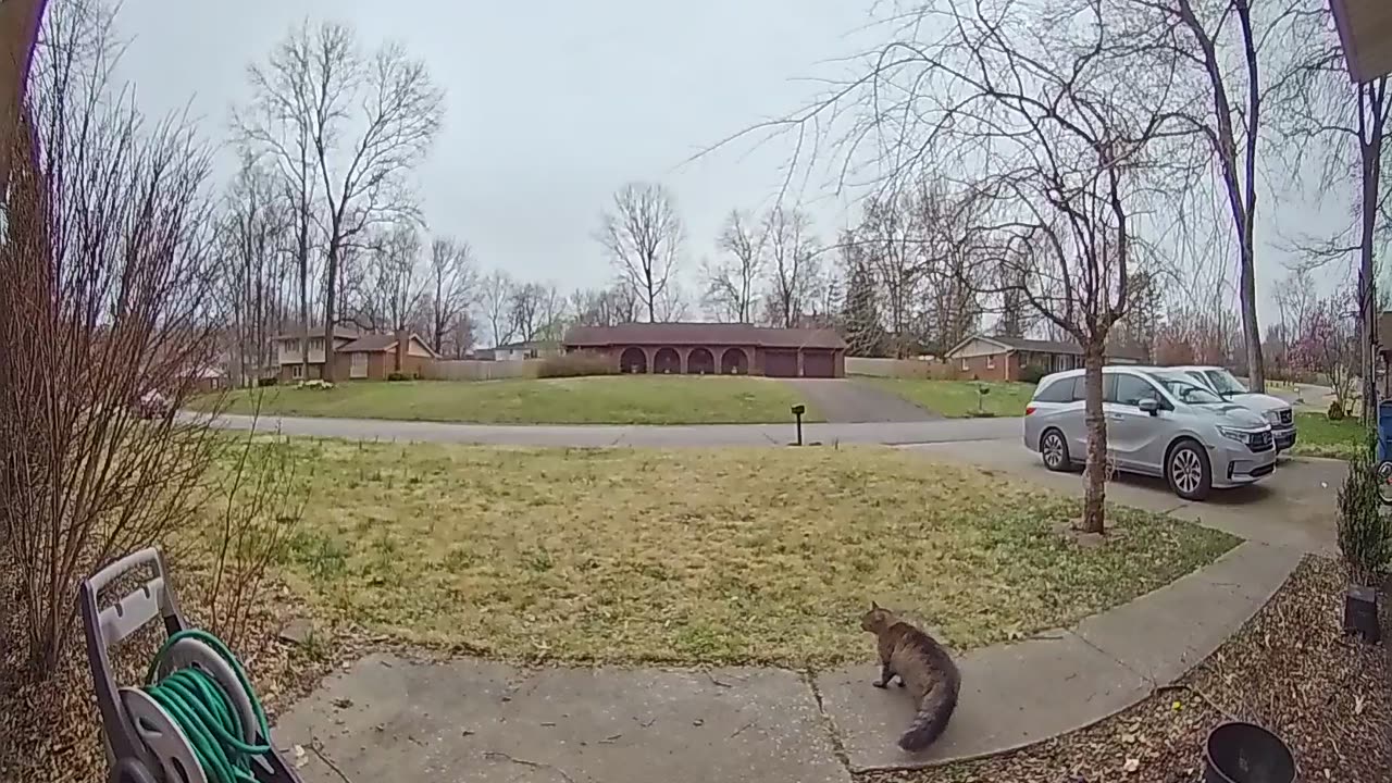 Woman Falls Backwards in Front of Doorbell Camera