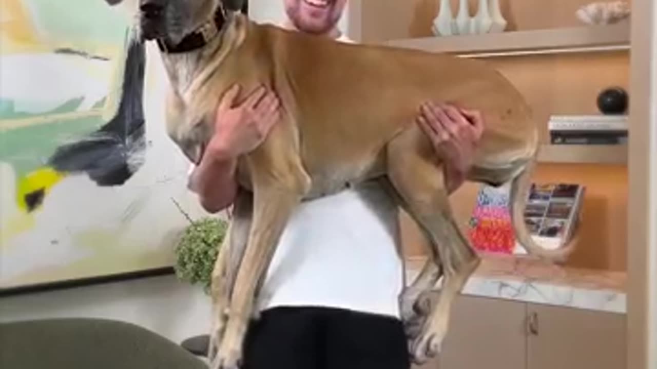 Holding Bigger And Bigger Dogs