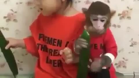 Funniest monkey ever I can't stop laughing