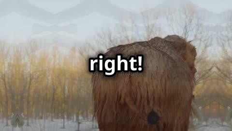 Woolly Mammoths' Secret to Staying Warm!