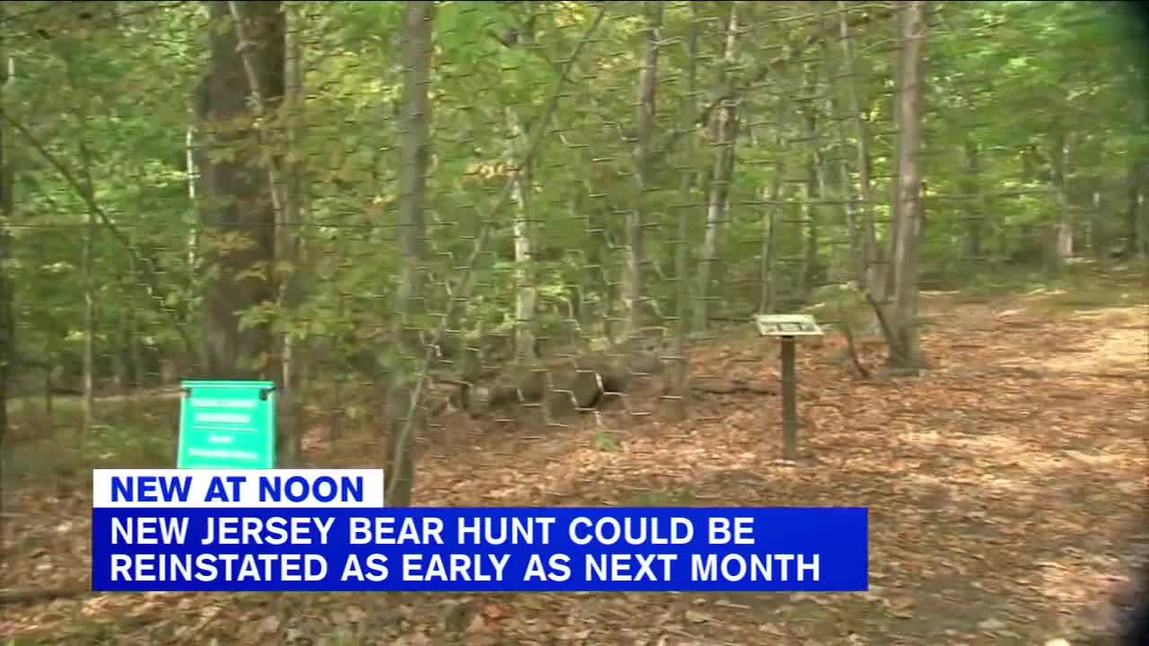 NJ bear hunt may be reinstated as early as next month