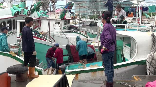 Move giant bluefin tuna from boat to land