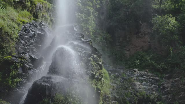 Waterfall in Forest