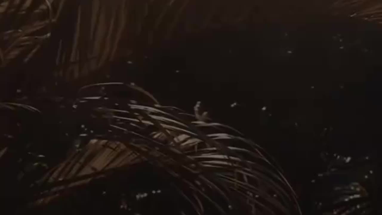 💓💫