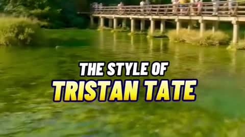 The style of Tristan