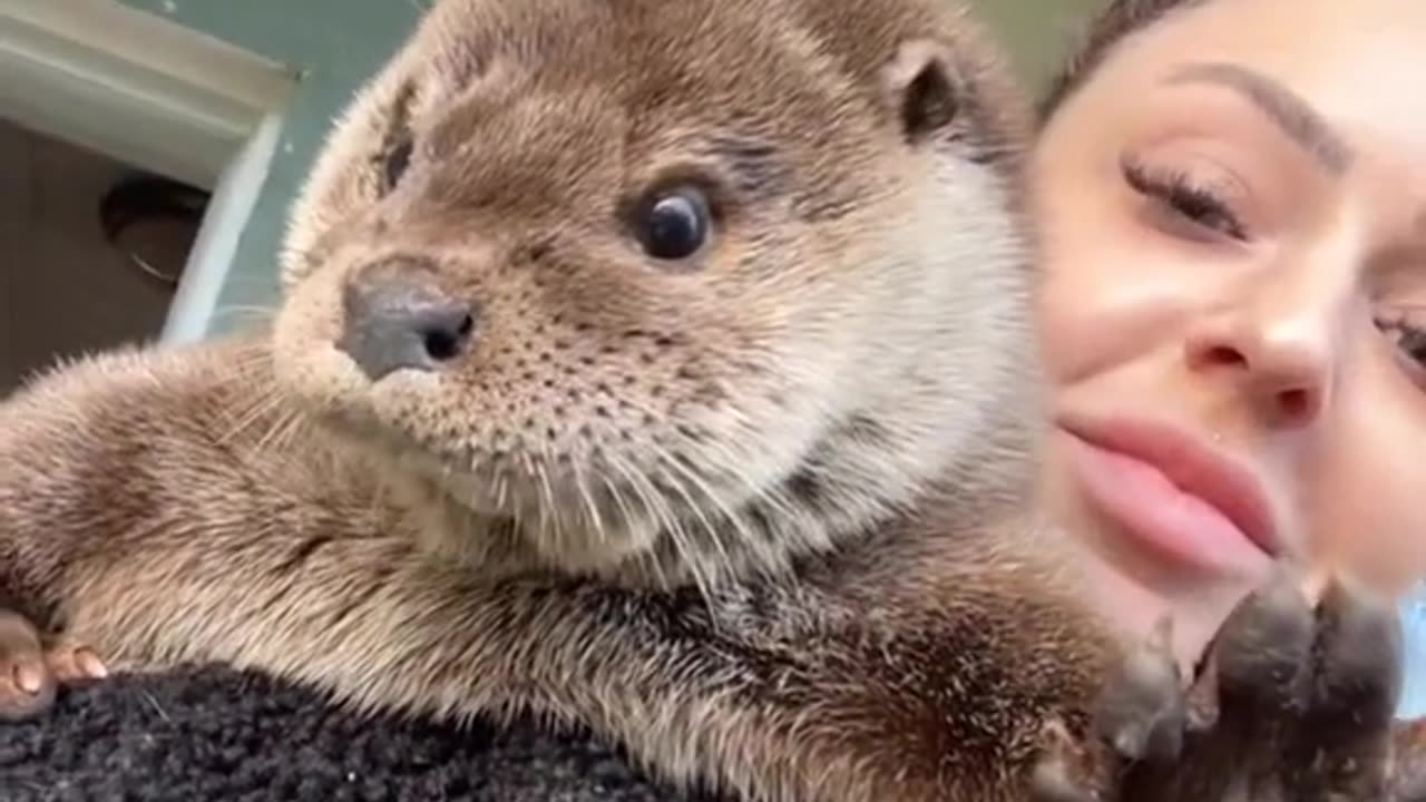 Sometimes all you need is an otter wishing you a happy friyay 🥰