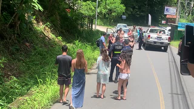 Police Escort Sloth as It Slowly Crosses Road