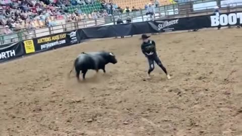 The 2-time world champion in bullfighting jumps on the bull's back