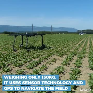 Autonomous Weeding Robot