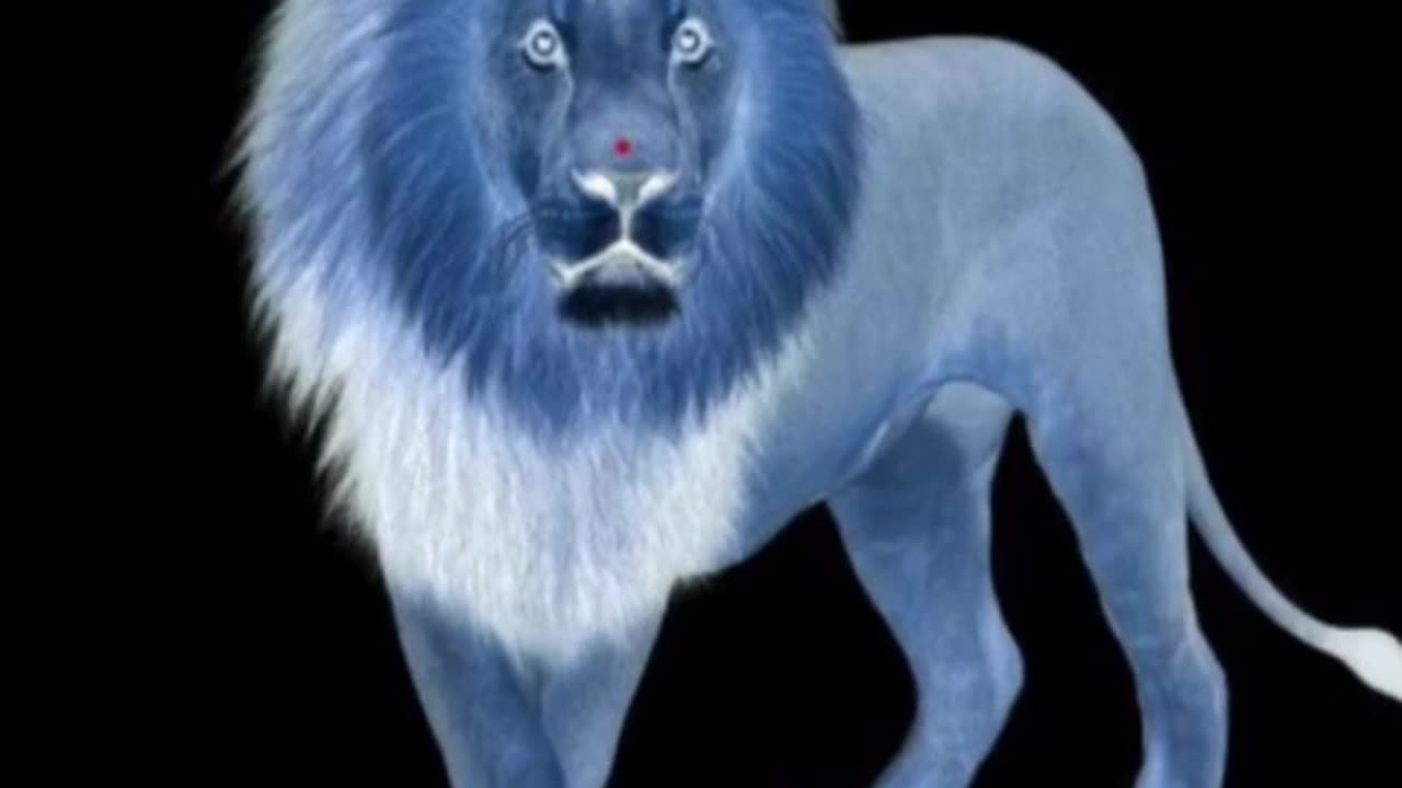 No blink the eyes and see the Magic