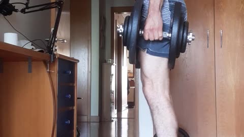 Calvs Raises 60kg(30kg/30kg) - 122lbs(66lbs/66lbs)