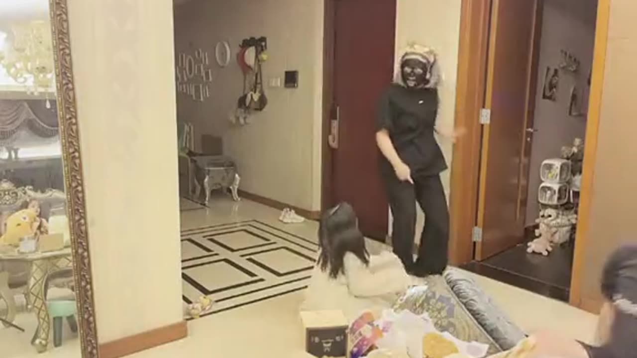 Funny videos