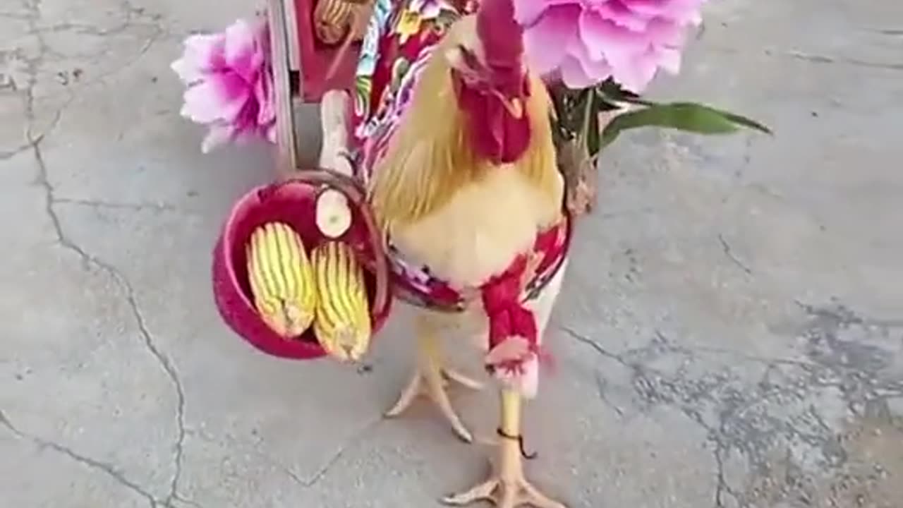 God