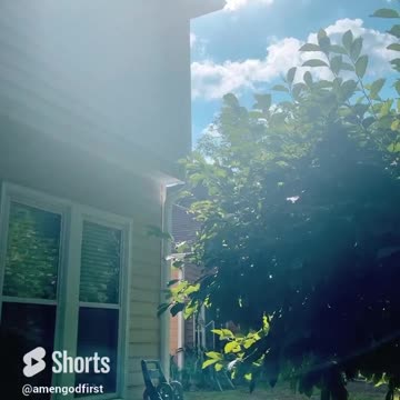 Nature @ Peace ☮️ #shorts