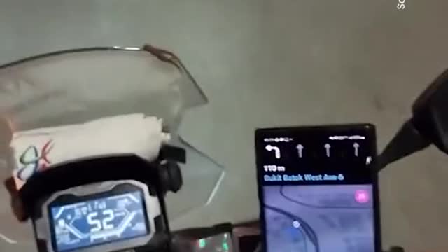 Pillion rider finds lizard on motorcycle windshield