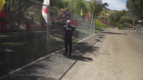 How To Train Your Puppy! (With Cesar Millan)