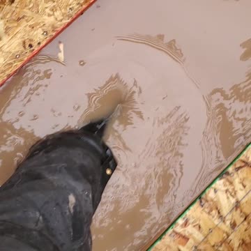 Who would drowned a stake of walls