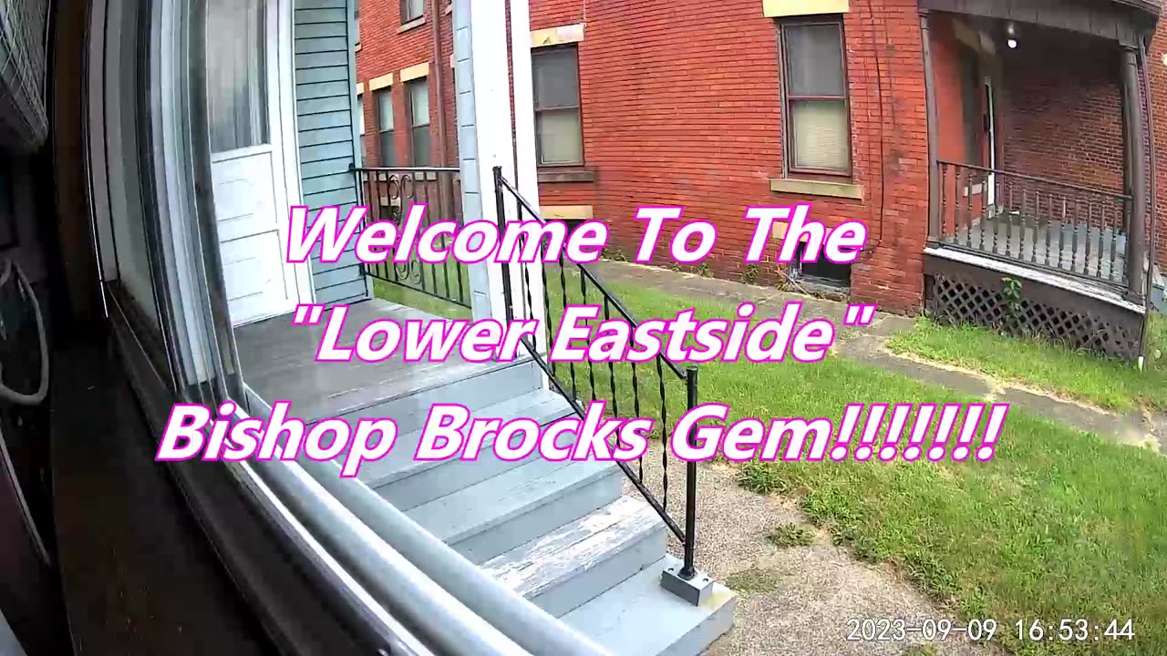 Another Visitor To The Backyard