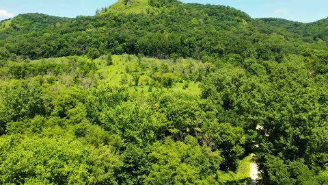 Hills and trees