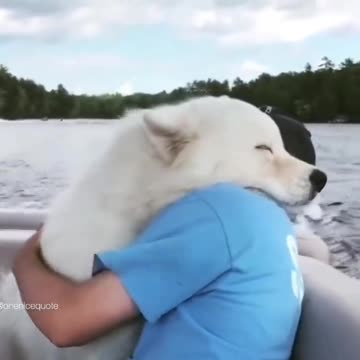 Libertad, paz, armonial, humano animal