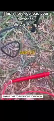 Recharge YOUR BATTERY with Grounding....