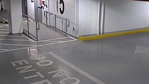 6080RHOBG3G305ANorthLobbyEntry_2021-01-06_03h00min01s360ms.mp4