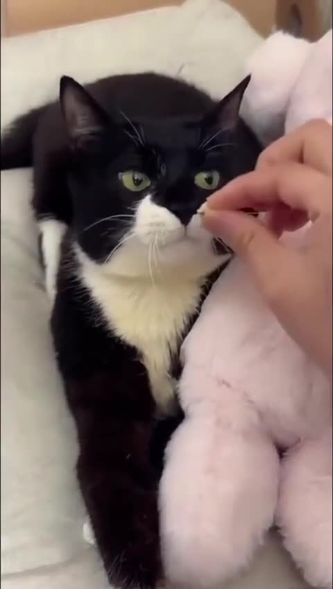 Everyone of my nephews and nieces 🤣🤣🤣