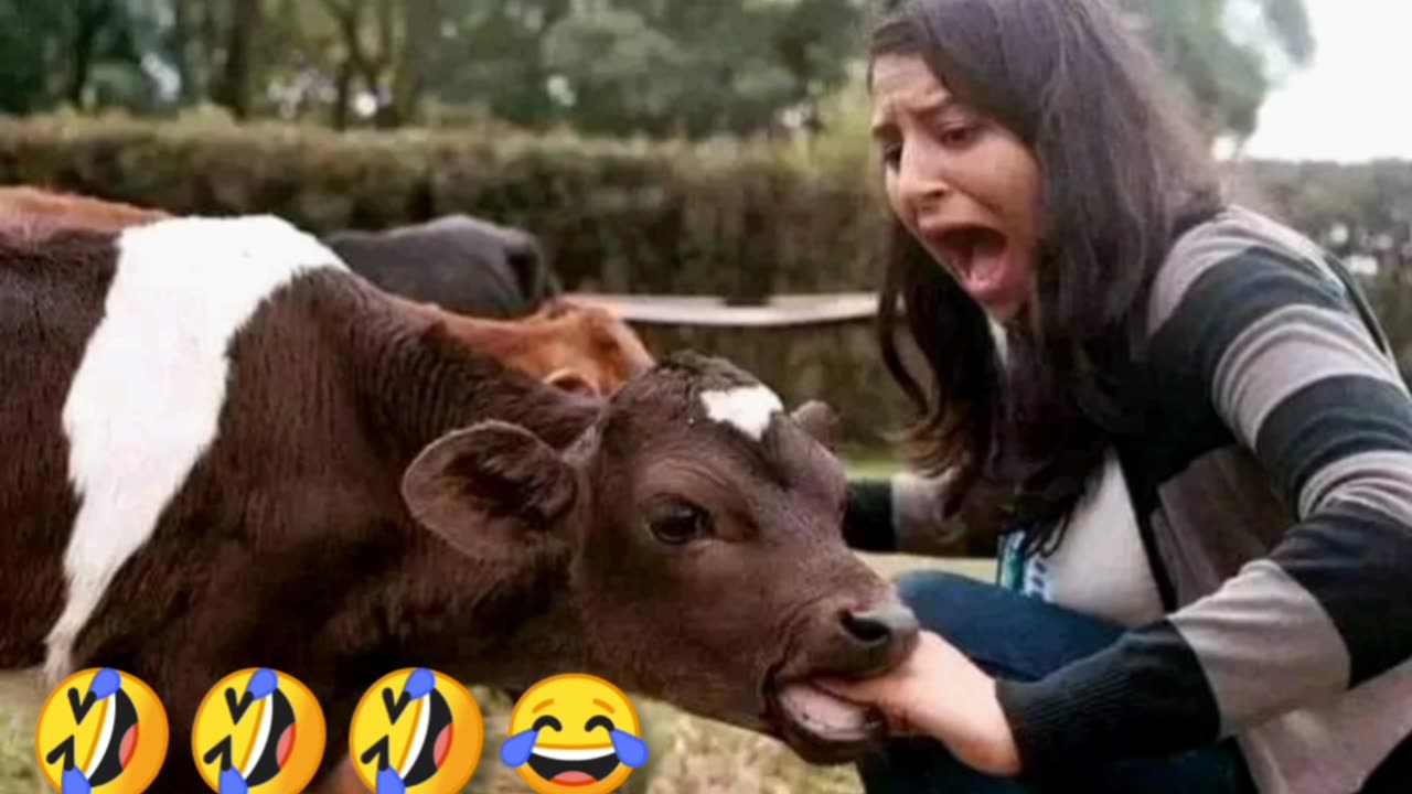 Funny 😆🤣 video
