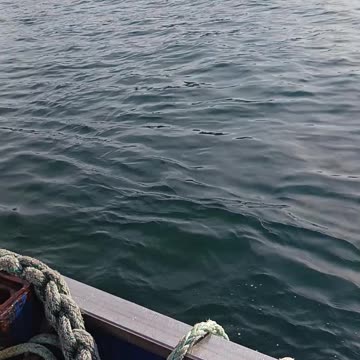 Chemtrail plane over Alaska either you are a paid off troll or completely ignorant of the situation