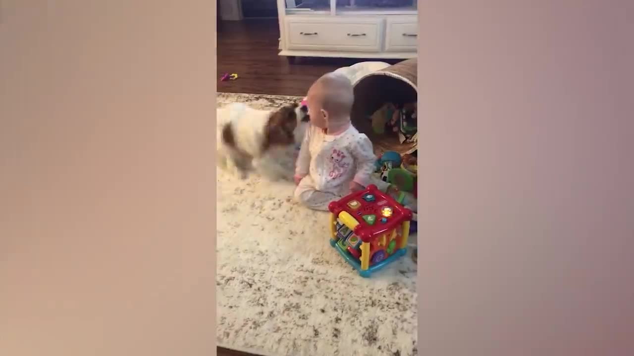 Cute Babies Playing With Dogs Compilation | Funny Baby And Pets