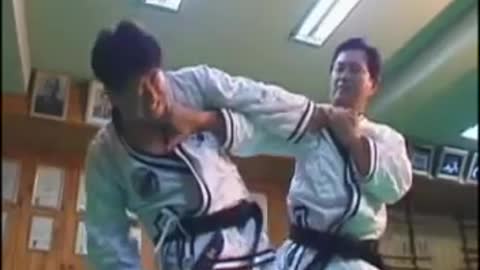 Jin Jung Kwan Hapkido