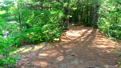 Take a Hike