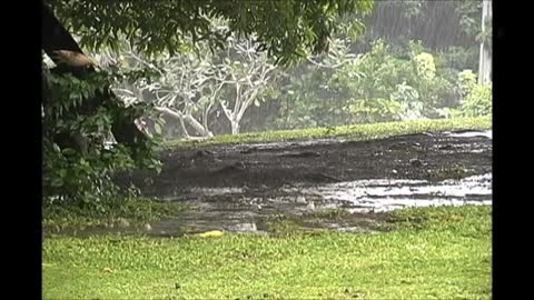 Tibetan Bell & Rain Meditation