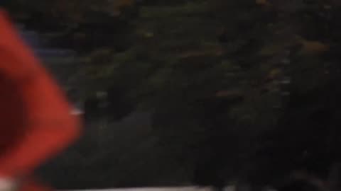 What's going on here then? 👀🛸 Recorded: July 7th, 2024 Location: Curitiba, Paraná
