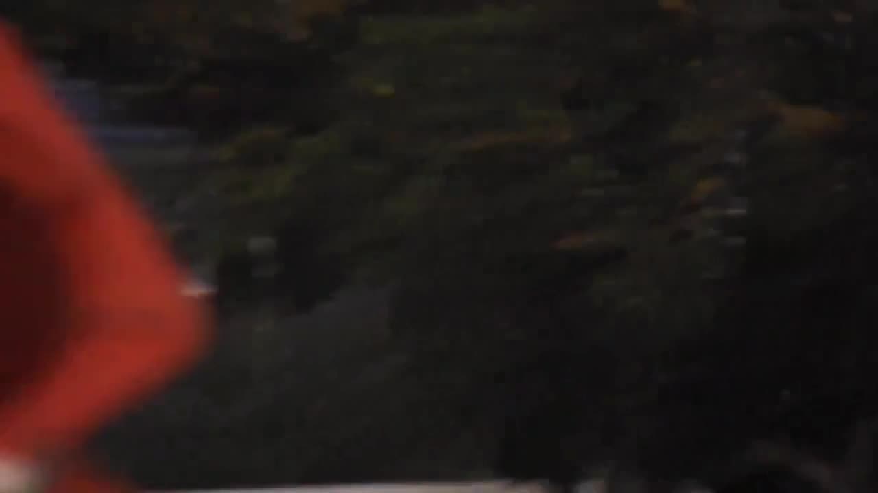 What's going on here then? 👀🛸 Recorded: July 7th, 2024 Location: Curitiba, Paraná