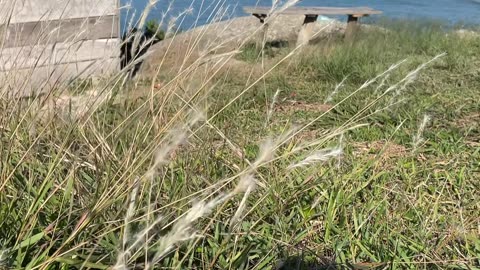 7/28 - Experiência imersiva pelas Praias de Governador Celso Ramos até a Praia das Conchas