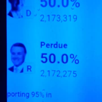 INTERNATIONAL WIDE ELECTION FRAUD VOTING MACHINE CRIME, GEORGIA RUNOFF SHAM ELECTION CRIME 175