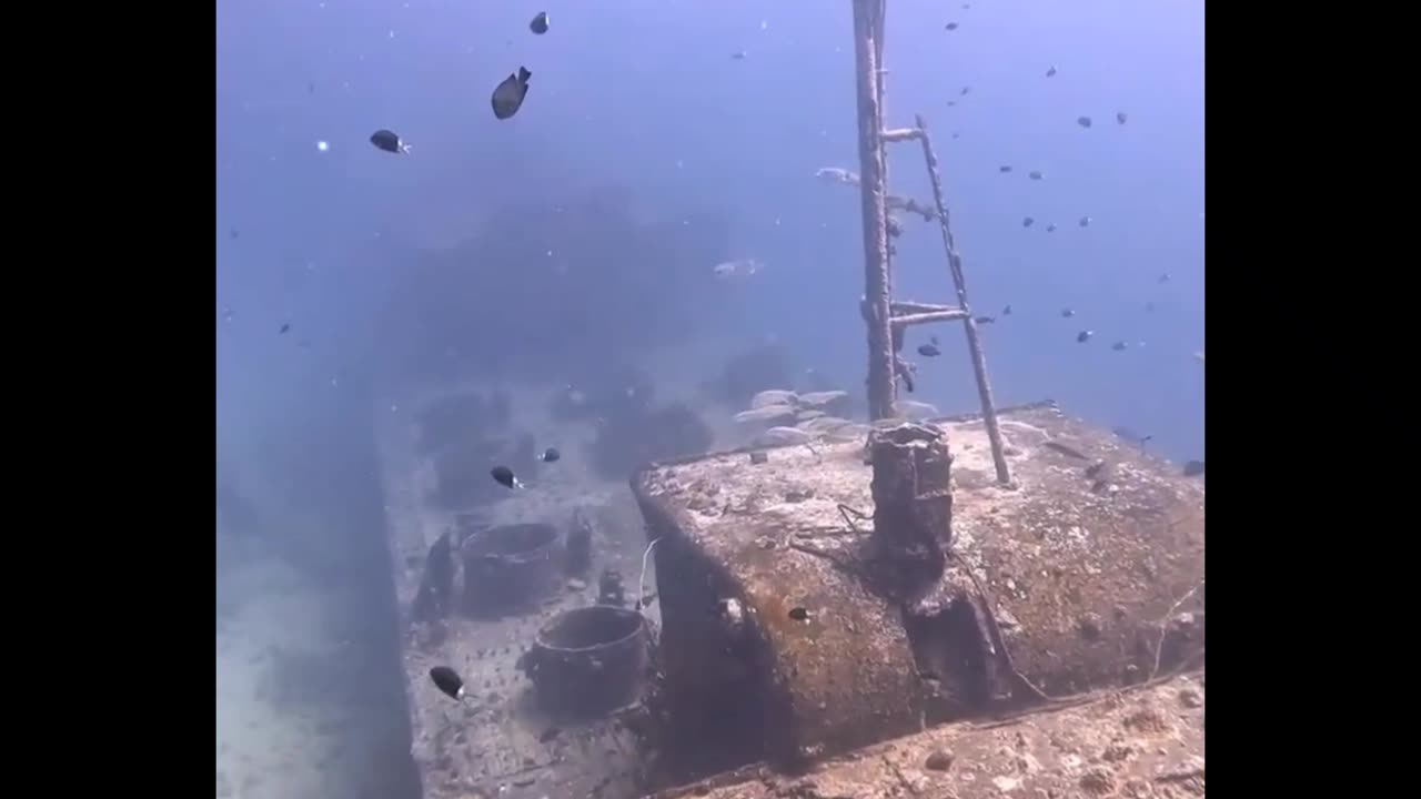 Swimming over a Shipwreck