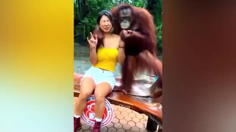 Animals funny video #funny #tending #animals