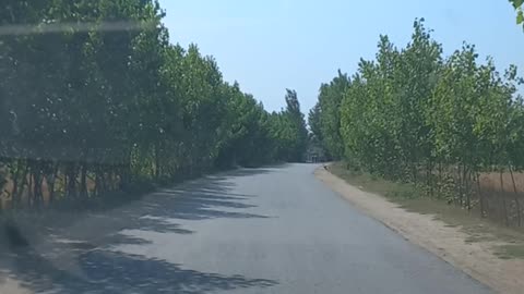 Driving