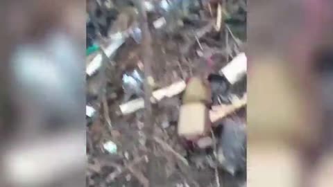 Fighting near Avdiivka: DPR stormtroopers took the positions of the Armed Forces of Ukraine