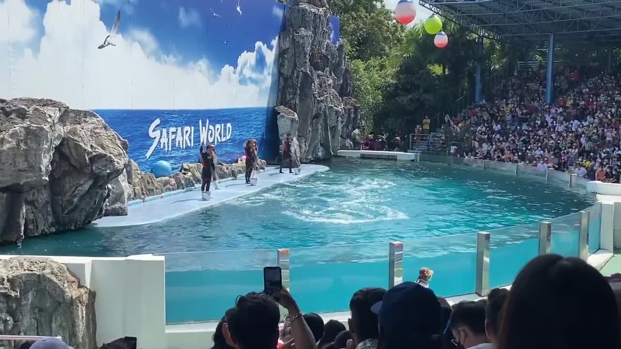 Dolphin Show at Marine Park, Safari World