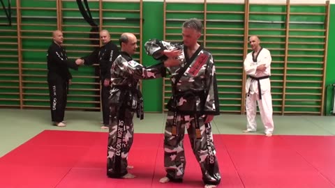 Croatian Hapkido Seminar
