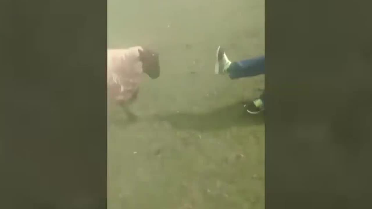 Irritating Nose Mishap Takes an Unexpected Twist!