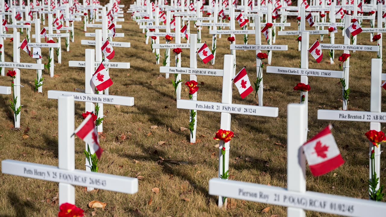 REMEMBRANCE DAY TRIBUTE !