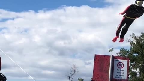 Various kites at Woodbine Beach